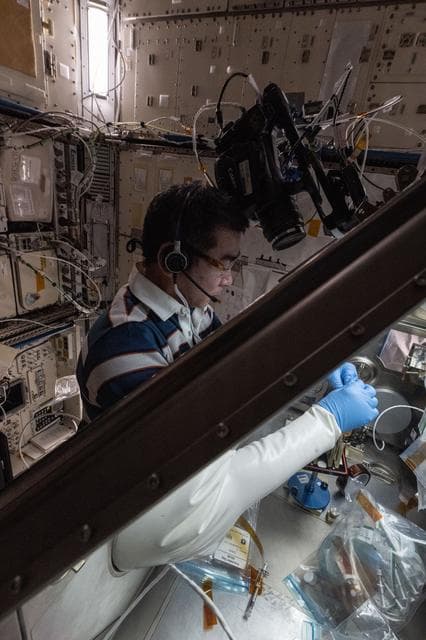 NASA image: JAXA astronaut Kimiya Yui conducts a microbiology research experiment