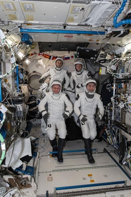 NASA image: Four SpaceX Crew-11 members gather for a crew portrait
