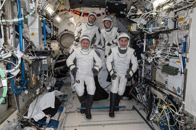NASA image: Four SpaceX Crew-11 members gather for a crew portrait