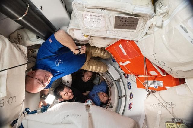 NASA image: NASA's SpaceX Crew-11 members pose for a portrait before entering the SpaceX Dragon