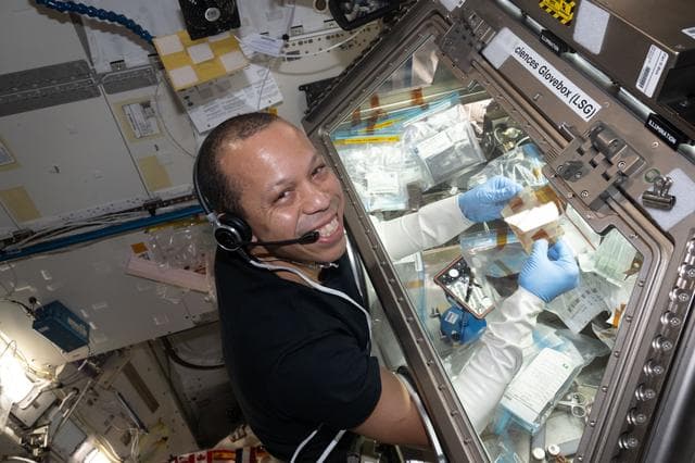 NASA image: NASA astronaut Chris Williams safely processes samples of a bacterial pathogen