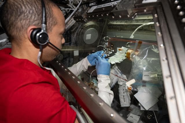 NASA image: NASA astronaut Chris Williams processes microbe samples inside the Microgravity Science Glovebox