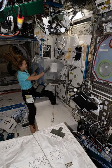 NASA image: ESA astronaut Sophie Adenot inserts biological research samples into a science freezer