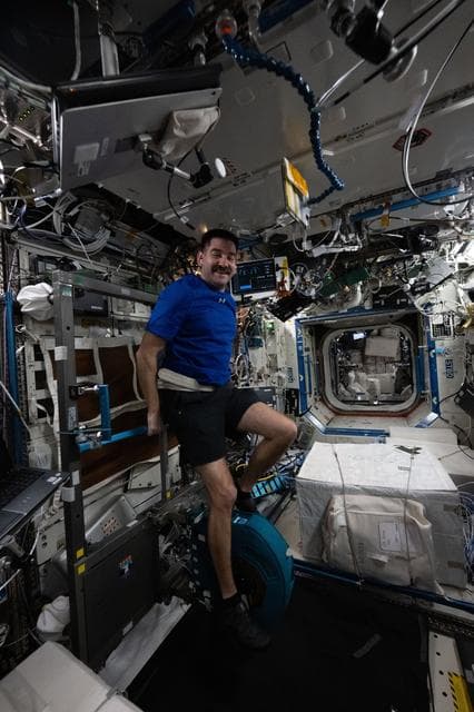 NASA image: NASA astronaut Jack Hathaway pedals on an exercise cycle