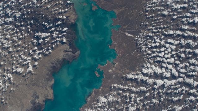 NASA image: The western freshwater portion of Lake Balkhash in Kazakhstan
