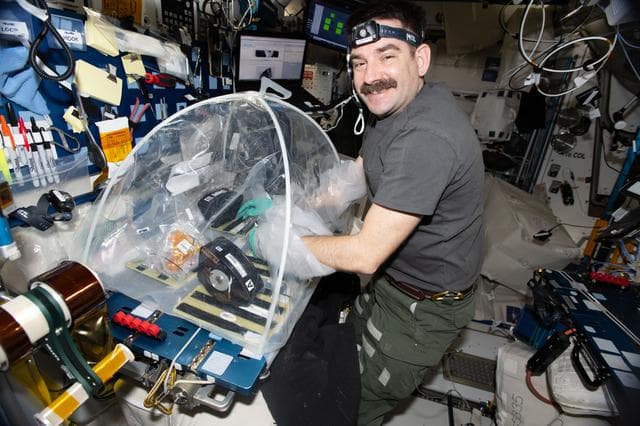 NASA image: NASA astronaut Jack Hathaway configures research hardware for a biotechnology investigation