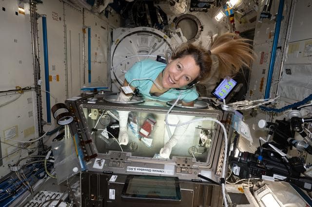 NASA image: Astronaut Sophie Adenot processing blood stem cell samples inside the Kibo laboratory module