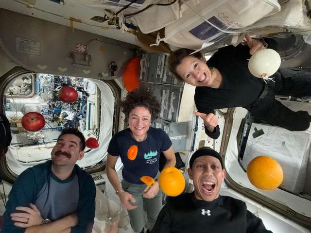 NASA image: Expedition 74 flight engineers celebrate a shipment of fresh food aboard the International Space Station