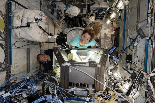 NASA image: Astronauts Chris Williams and Sophie Adenot process genetic-material samples in the Kibo laboratory module