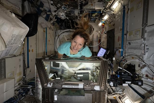 NASA image: ESA astronaut Sophie Adenot works inside the Kibo laboratory module's Life Science Glovebox