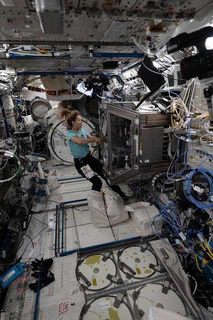 NASA image: ESA astronaut Sophie Adenot activates the Kibo laboratory module's Life Science Glovebox