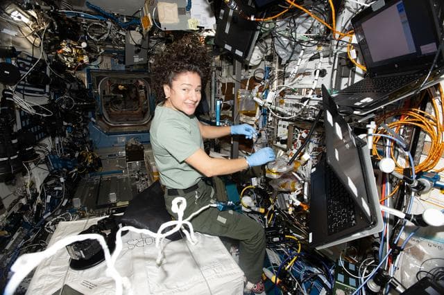 NASA image: NASA astronaut Jessica Meir inspects sensitive fiber cables inside the Cold Atom Lab