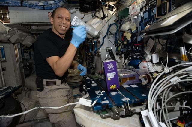 NASA image: NASA astronaut Chris Williams activates sample‑containing tubes for student‑designed experiments