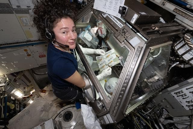 NASA image: NASA astronaut Jessica Meir prepares blood platelet samples for incubation and growth
