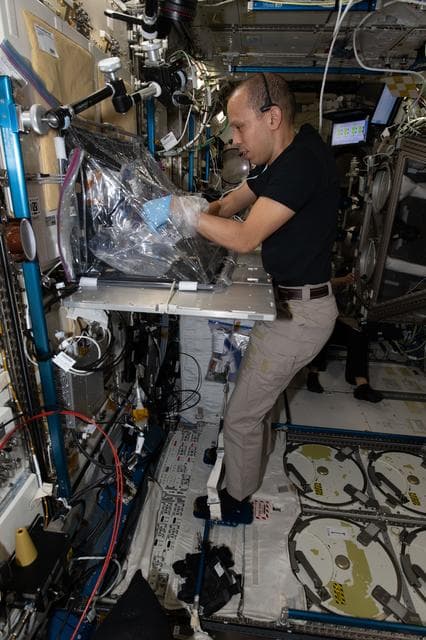 NASA image: NASA astronaut Chris Williams works on the Space Cancer Therapeutics investigation