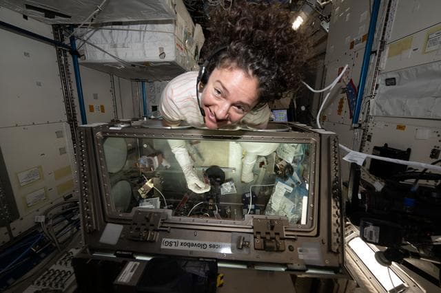 NASA image: NASA astronaut Jessica Meir nourishes stem cell samples inside the Kibo laboratory module
