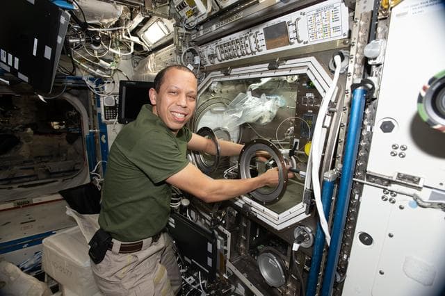 NASA image: NASA astronaut replaces sample hardware inside the Microgravity Science Glovebox