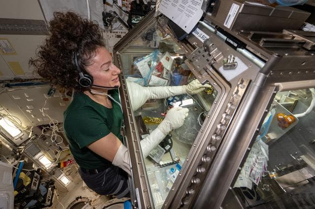 NASA image: NASA astronaut Jessica Meir processes blood platelet samples inside the Life Science Glovebox