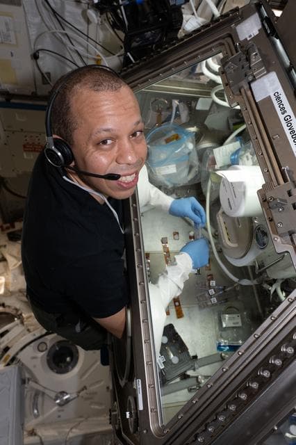 NASA image: NASA astronaut Chris Williams conducts research operations for the Odyssey biotechnology investigation