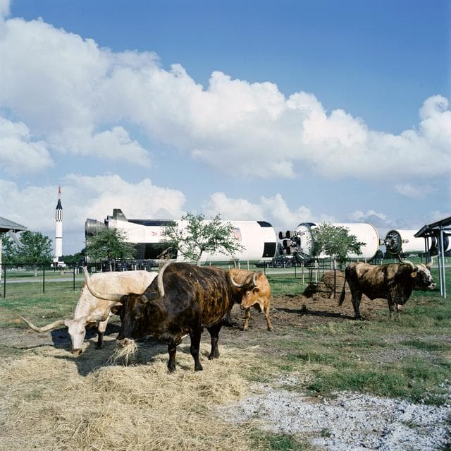 NASA image: Opening ceremonies for the Longhorn Project pavilion