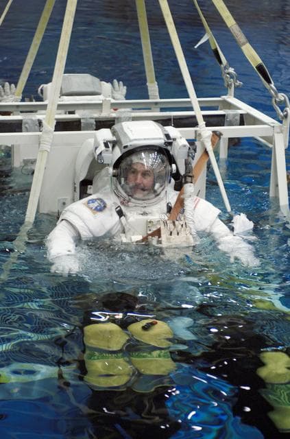 NASA image: Preflight Extravehicular Activity Training for STS-114 at the Neutral Buoyancy Lab