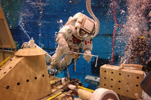 NASA image: "Astronaut STS-123 EVA 1, NBL Training"