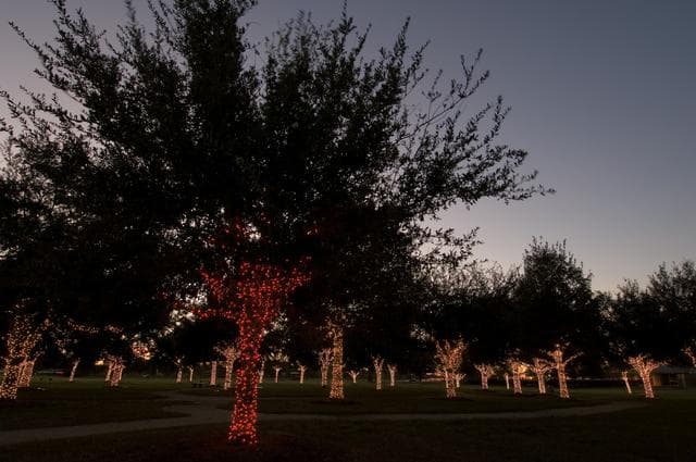 NASA image: JSC Features/Roundup. Christmas Lights on Memorial Tree Grove