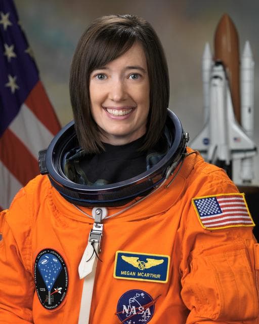 NASA image: jsc2008e013387