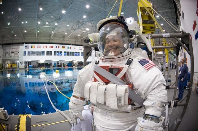 NASA image: Koichi Wakata during EVA Review at the NBL