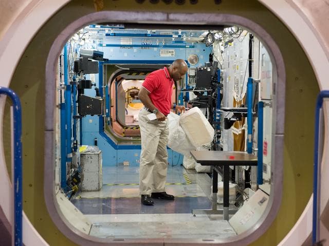 NASA image: STS-129 crew during trans hands-on review in the space station mockups. 