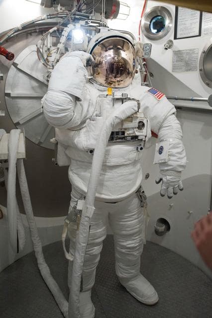 NASA image: STB-SS-1912 - SSATA Crew Training for STS-134 Greg Chamitoff  