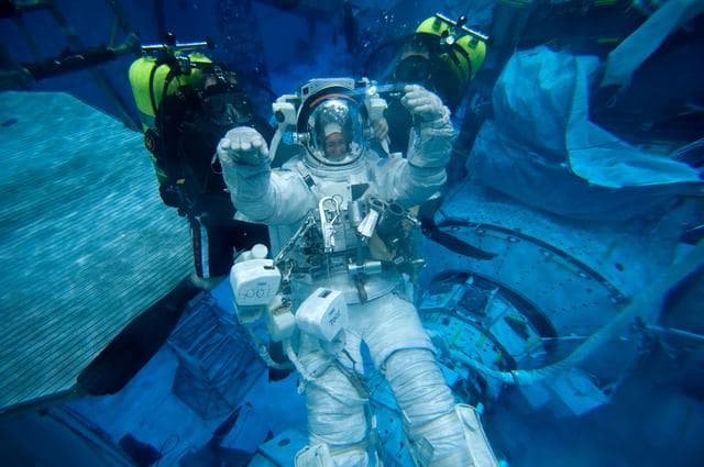 NASA image: STS-335 (135) crew members Rex Walheim and Sandy Magnus  