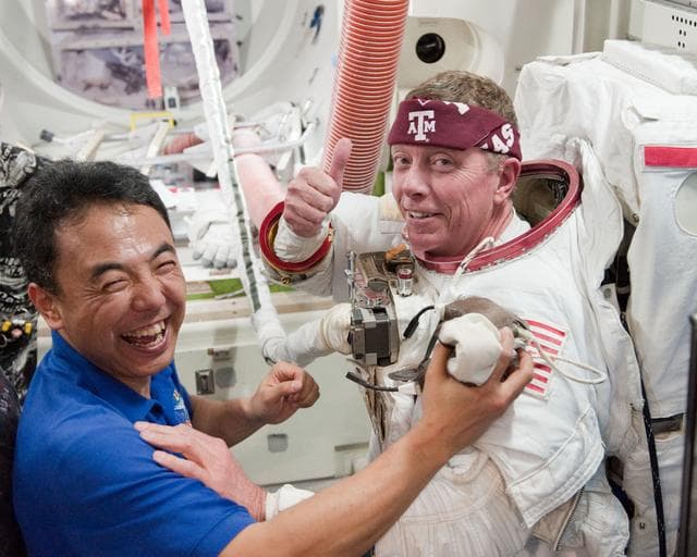 NASA image: Expedition 28 crew member and JAXA astronaut satoshi Furukawa   