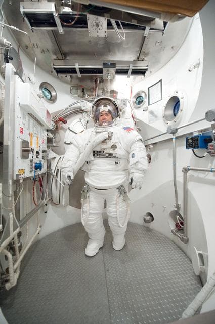 NASA image: STB-ST-942 SSATA Crew Training for INC-32(CM Hoshide) - August 31, 2011  