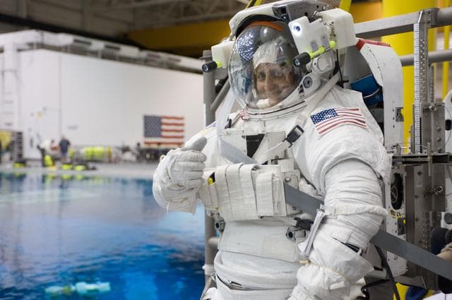 NASA image: jsc2012e018695