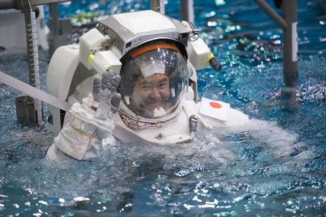 NASA image: jsc2012e018704