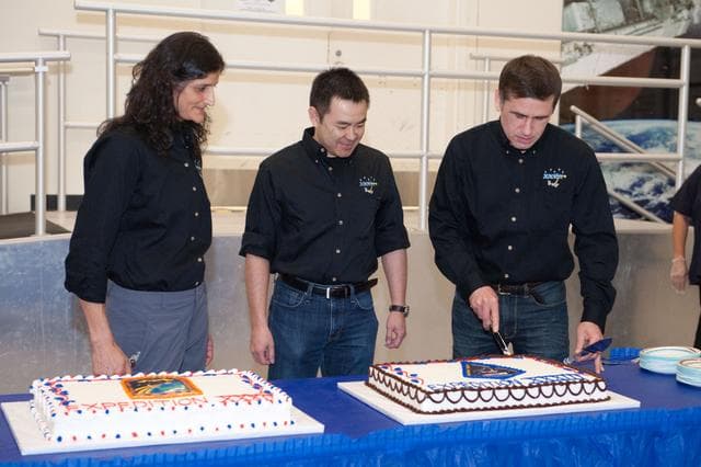 NASA image: jsc2012e035325