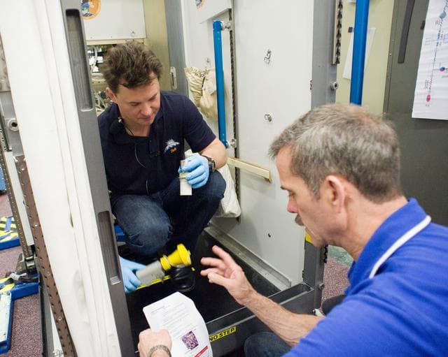 NASA image: jsc2012e035590