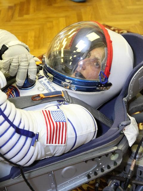 NASA image: jsc2012e099530