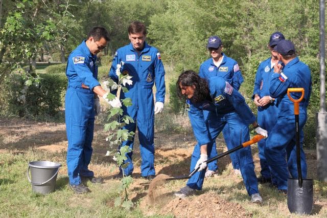 NASA image: jsc2012e099596