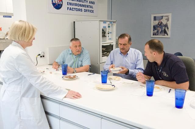 NASA image: jsc2012e131116
