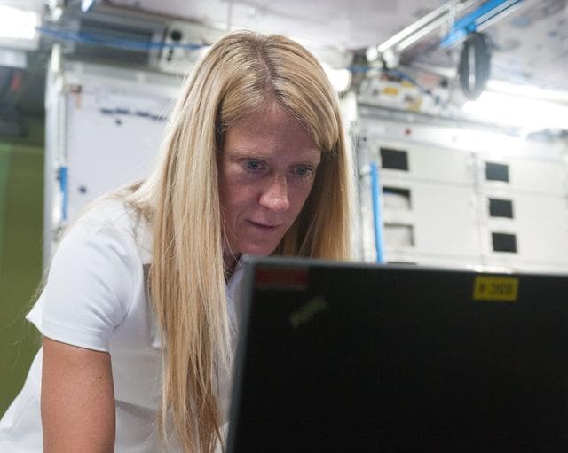 NASA image: jsc2012e215428