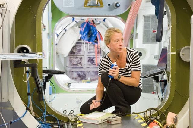 NASA image: jsc2012e216124