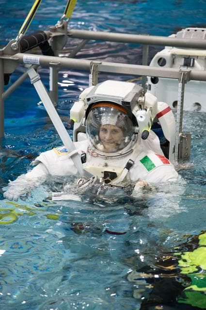 NASA image: jsc2012e238114