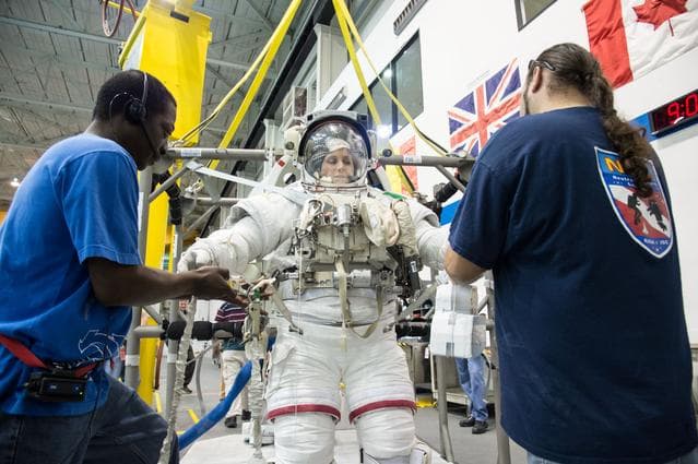 NASA image: jsc2012e238466