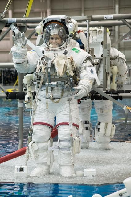 NASA image: jsc2012e238474