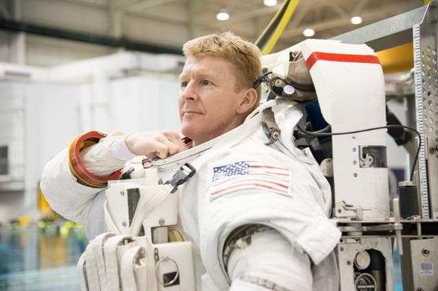 NASA image: EVA Skills training in the NBL