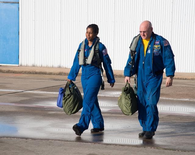 NASA image: jsc2013e010113