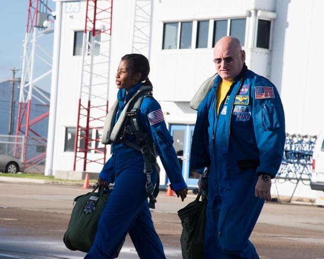 NASA image: jsc2013e010114
