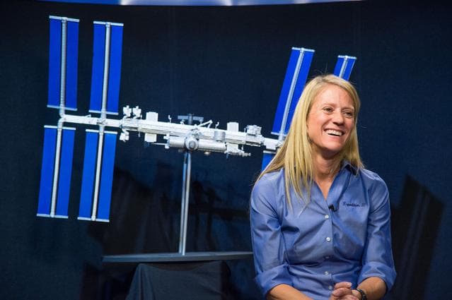NASA image: jsc2013e017658